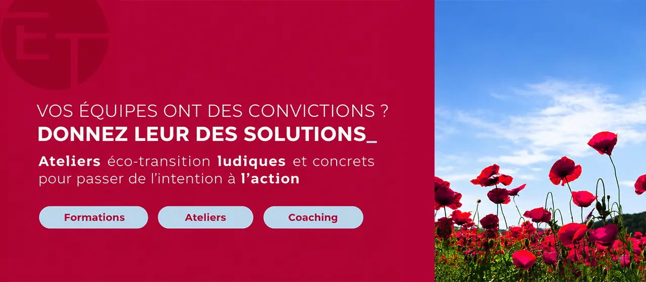 initiales et ecotransition decomplexee realisation jdw